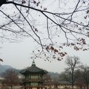 경북궁 이미지
