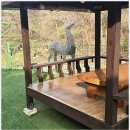 딩동댕애견스파풀빌라 이미지