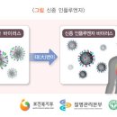 신종인플루엔자[Influenza A virus subtype H1N1] 이미지