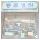 이재풍동물병원 | 방이동동물병원 < 이재풍동물병원 > 마이펫플러스 신규 입점