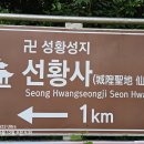 선황사 등산로 티스토리