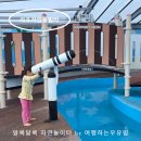 둠칫 | 라포하임키즈풀빌라 F동 둠칫둠칫 디스코방 후기, 바베큐부터 온수수영장까지 즐기기!