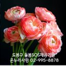 사랑돌봄재가복지센터.복지용구 이미지