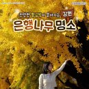평안한치길 이미지
