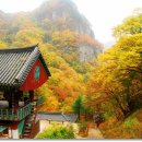 청량사 - 1641 | 청량사
