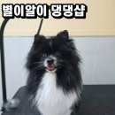 별이알이 댕댕샵 이미지