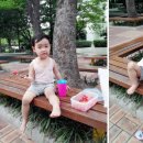 노리토이 이미지