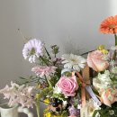 사파동242 이미지