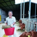 완기농장 이미지