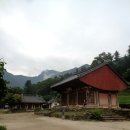 소요대 Daum카페