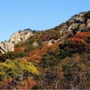 선운산 이미지