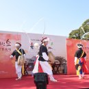 노거수 은행나무 축제의 속삭임 이미지