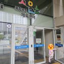 서울숲복합문화체육센터 주말 자유수영 후기 - 5월 주말 무료 이벤트
