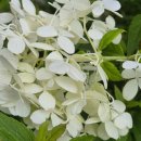 비발디조현욱공인중개사사무소 이미지