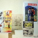 쎄라비 이미지