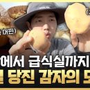 캘래  YTN 사이언스