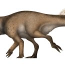 프로토케라톱스 이미지