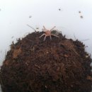 헤어로즈 이미지