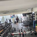 빅스톤짐 이미지
