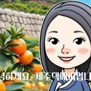 할망네돔베고기 이미지
