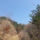 춘천/가평 화악 지맥 촉대봉(촛대봉 1,125m) 최단 코스(23.3.19)