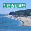 전촌솔밭해수욕장 이미지
