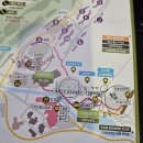 모나용평리조트 용평워터파크 그린피아콘도 발왕산케이블카 이용 1박후기