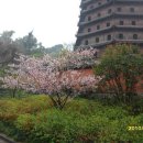 황산뻘 Daum카페