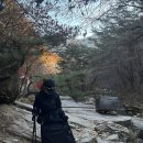 볕고을 | 포천 명성산 등산코스 1코스 등산, 주차정보, 억새밭까지 산행 후기.