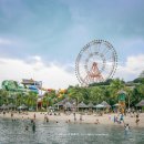 조성5일시장 | 베트남 나트랑 여행 코스 3박5일 일정 단독 투어 후기