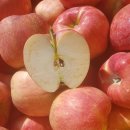 행복애농원 이미지