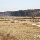 청지천 이미지