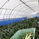 (주)토담 이미지