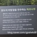장도 | 여수여행 예술의 섬 장도에서 보낸 힐링 산책 시간