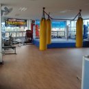 천하체육관 이미지