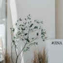 화이트헤어샵 이미지