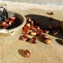 여산농장 이미지