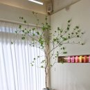 산남 | 청주 산남동미용실 추천 살롱드푸즈 산남점 후기