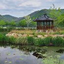 벽진 마을회관 이미지
