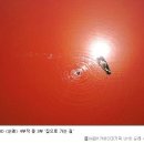 도대농장 이미지