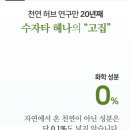 더 수자타 헤어