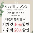 김포애견미용 비숑 디자인컷 할인받고 미용하고 온 후기