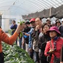 완주군귀농귀촌지원센터 이미지