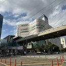 대우프라자 | [대구 고급 마사지 추천] 산전/산후 관리 아로마 테라피 엘리앤코 스파 본점 후기