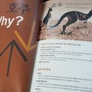 해외교육진흥원 이미지