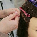 올댓독 | 맨날 받기만 하던 붙임머리, 결국 영통붙임머리학원 등록하고 온 내돈내산 수강 후기