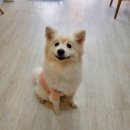 개네집 곳간 이미지