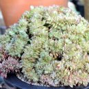 송정하우스 이미지