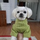 만연두샵 이미지