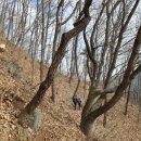 702)백학산 (경북 상주) 백두대간34 (큰재~지기재)